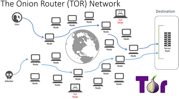tor network